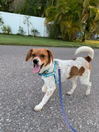 Mickey/Redington Beach