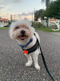 Cody/Redington Beach