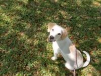 Marleigh/Seminole