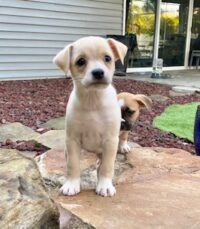 Lucy/Seminole