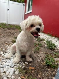 Buster/Redington Beach