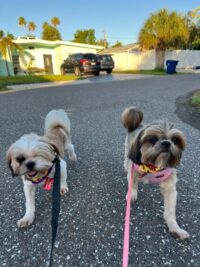 Keena and Krystal – BONDED/Redington Beach