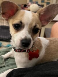 Tinkerbell/Redington Beach