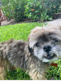 Milo/Redington Beach