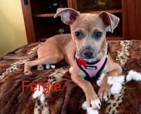 Fergie/Redington Beach