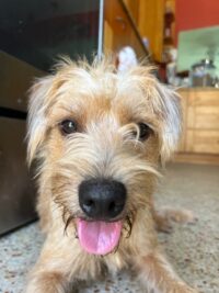 Butters/Seminole