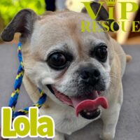 Lola / Holiday
