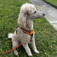 Charlie / Palm Bay, FL