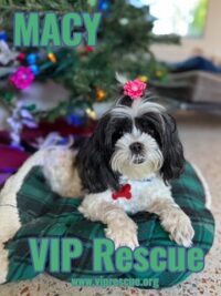 Macy / Redington Beach