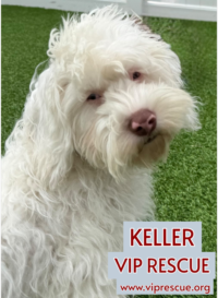 Keller / Redington Beach