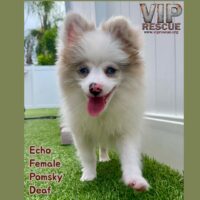 Echo / Redington Beach