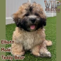 Elliott / Redington Beach