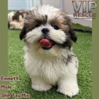 Emmett / Redington Beach